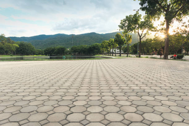 Best Driveway Pavers Near Me  in Westland, MI