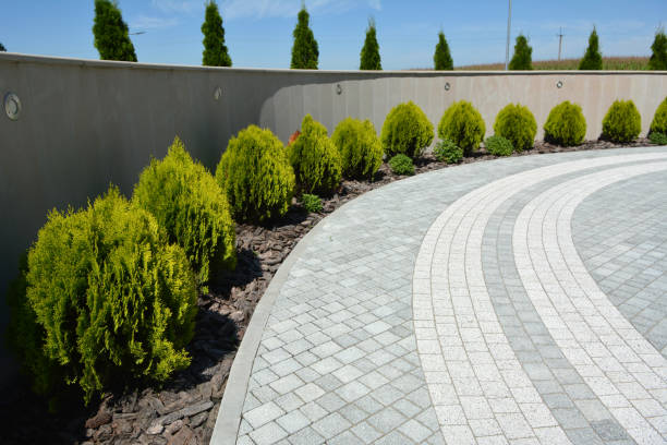 Best Driveway Paving Contractor  in Westland, MI